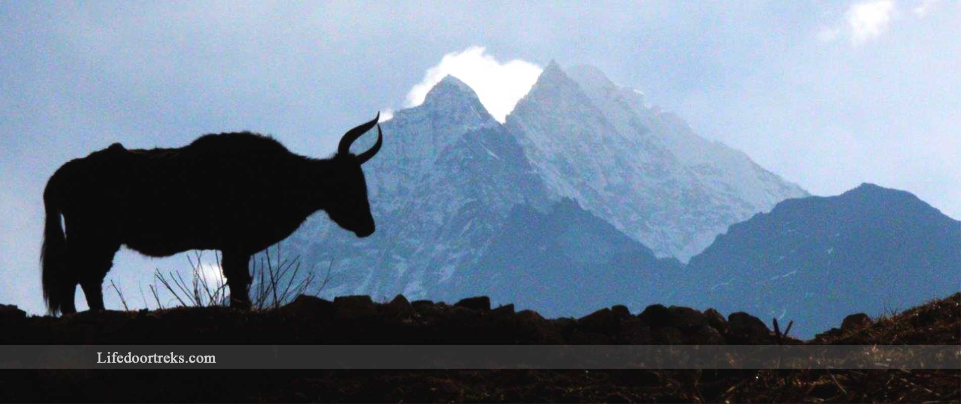 EVEREST PANORAMA TREK